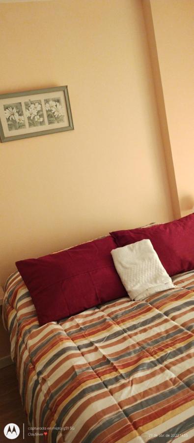 Acogedor Monoambiente Con Parking Apartment Neuquen Ngoại thất bức ảnh